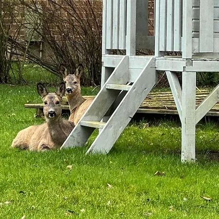 Voss 2 Appartamento Staberdorf