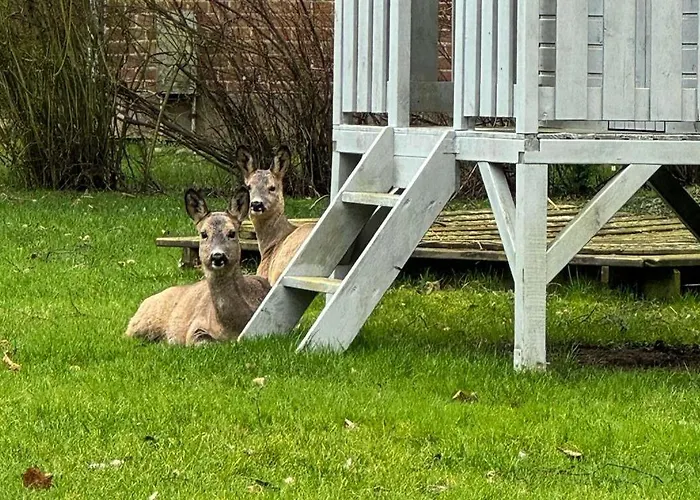 Voss 2 Apartamento Staberdorf